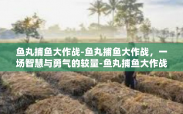 鱼丸捕鱼大作战-鱼丸捕鱼大作战，一场智慧与勇气的较量-鱼丸捕鱼大作战