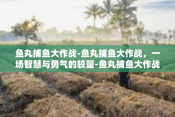 鱼丸捕鱼大作战-鱼丸捕鱼大作战，一场智慧与勇气的较量-鱼丸捕鱼大作战